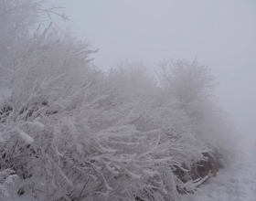 2025年12月11-14号 自游自在旅行社带您玩雪看雾凇 4日游