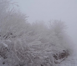 2025年12月11-14号 自游自在旅行社带您玩雪看雾凇 4日游