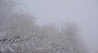 2025年12月11-14号 自游自在旅行社带您玩雪看雾凇 4日游