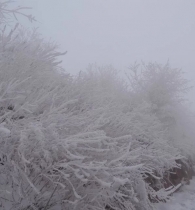 2025年12月11-14号 自游自在旅行社带您玩雪看雾凇 4日游
