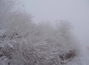 2025年12月11-14号 自游自在旅行社带您玩雪看雾凇 4日游